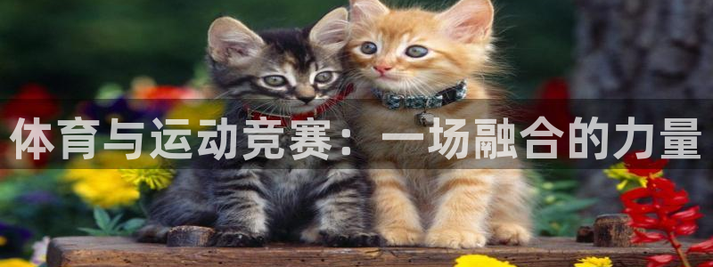 三亿体育