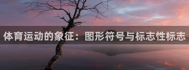 三亿体育网