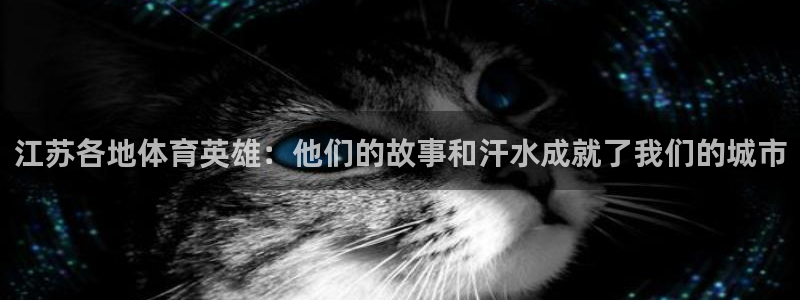 三亿体育网