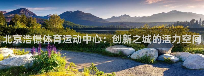 三亿体育网页版