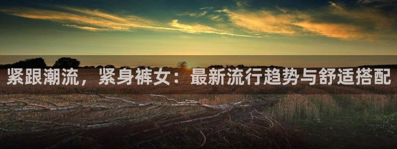 三亿体育网页版