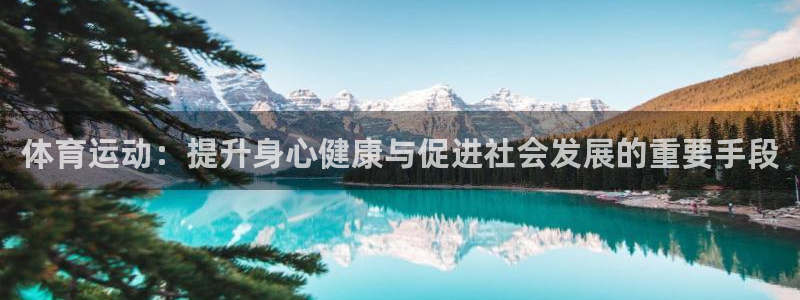 三亿体育网页版