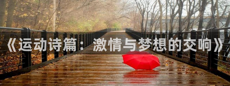 三亿体育网页版