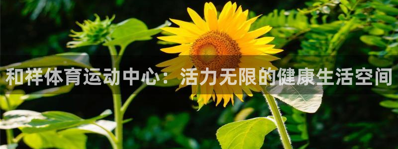 三亿体育登录