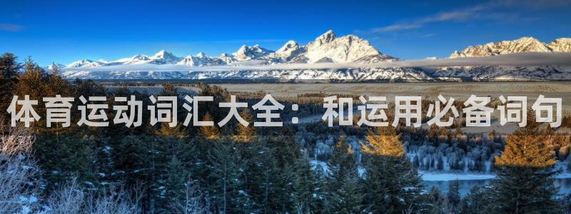 三亿体育登录
