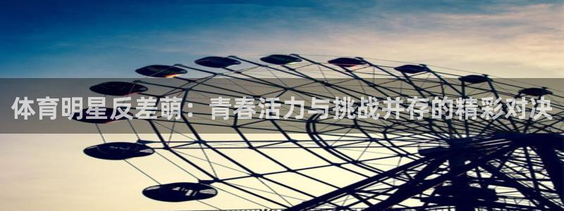三亿体育网页版