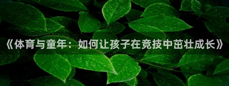 三亿体育网