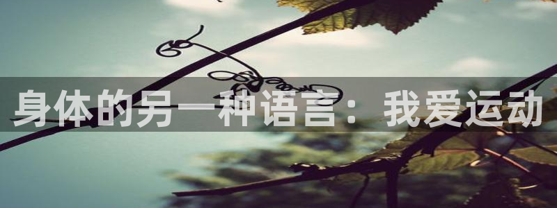 三亿体育网