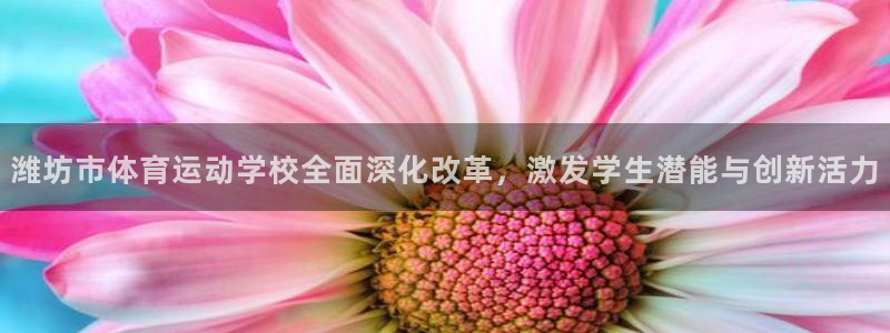 三亿体育登录