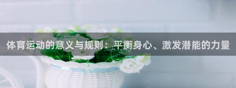 三亿体育网