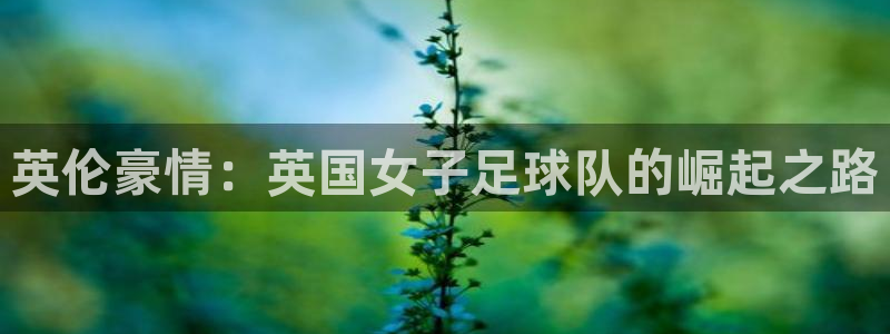 三亿体育登录